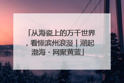 从海瓷上的万千世界，看懂滨州浪漫｜潮起渤海・网聚黄蓝